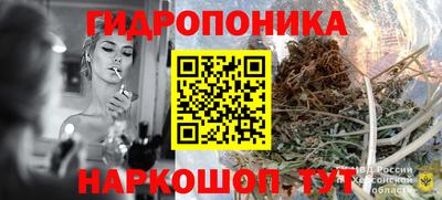 гашик Изобильный