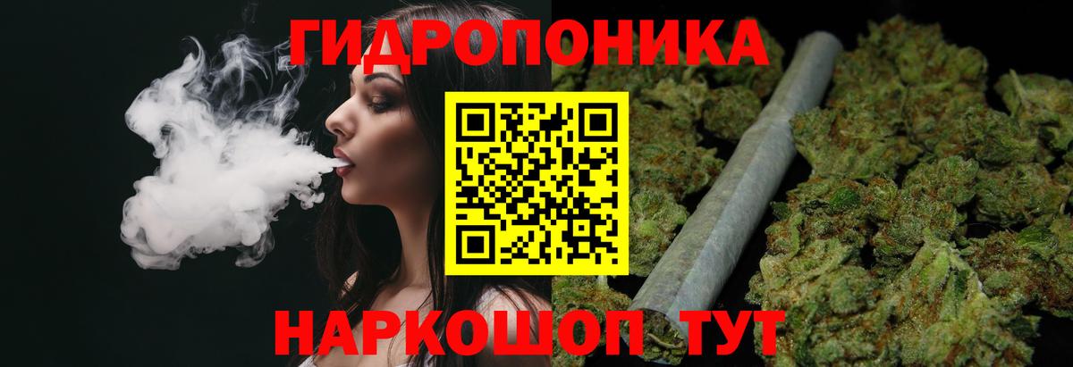 Бошки марихуана Amnesia Лесозаводск